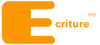 icône écriture ms survol